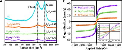 Oleaster seed-derived activated carbon/ferrite nanocomposite for microwave absorption in the X-band range